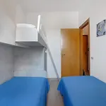 Apartament Coral House