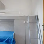 Apartament Coral House